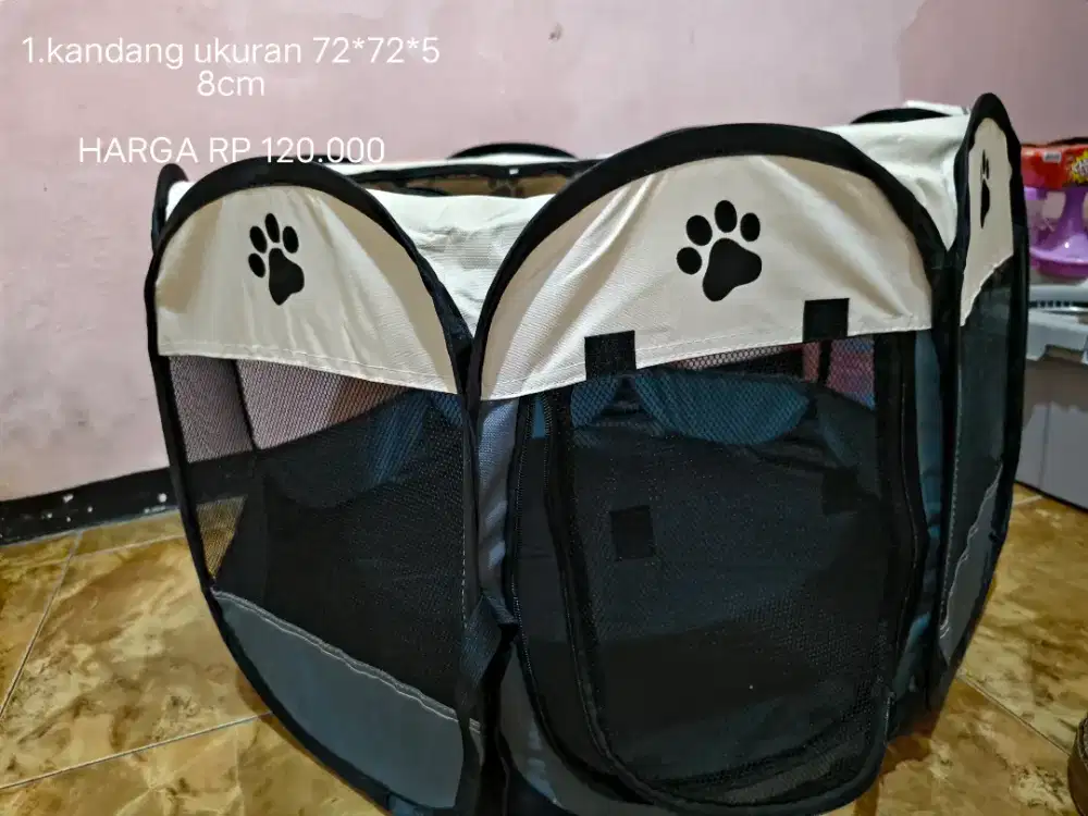 Jual perlengkapan kucing