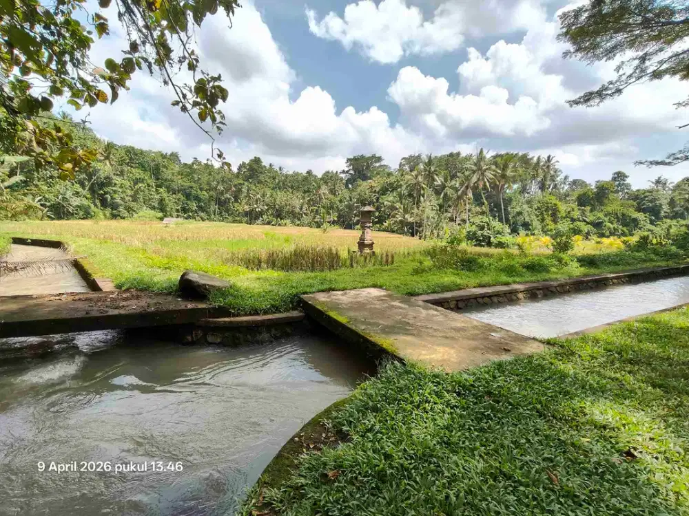 Tanah di Timpag Tabanan Bali dekat Bendungan Telaga Tunjung