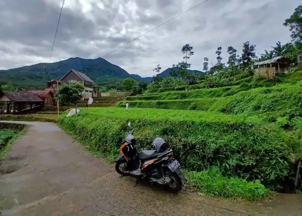 TANAH AREA WISATA PUNTANG CIMAUNG