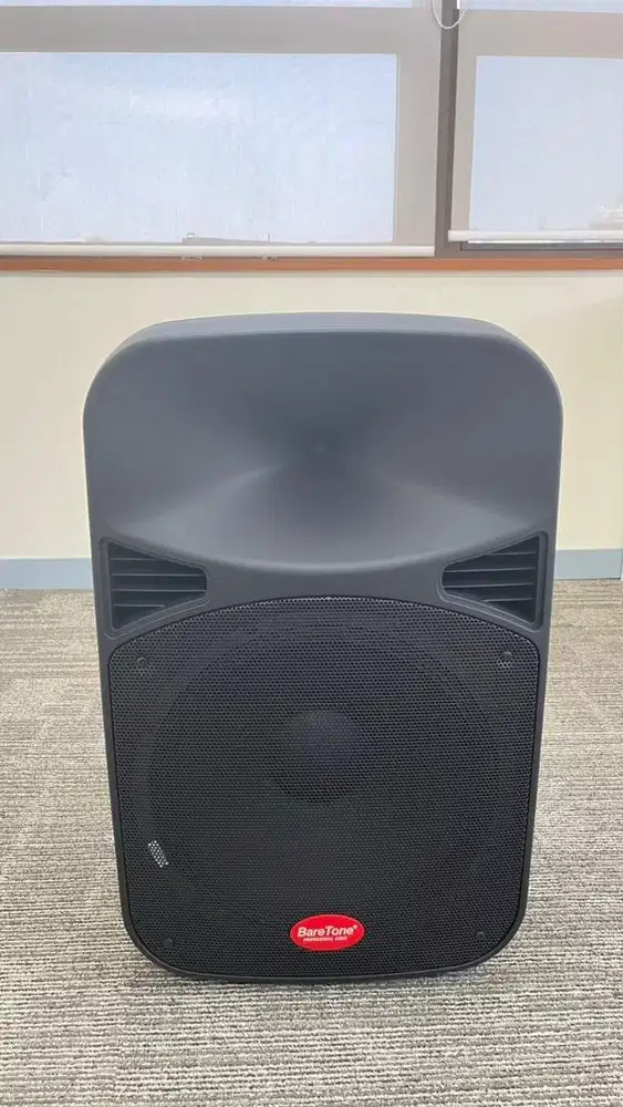 Speaker Sony MHC V-13