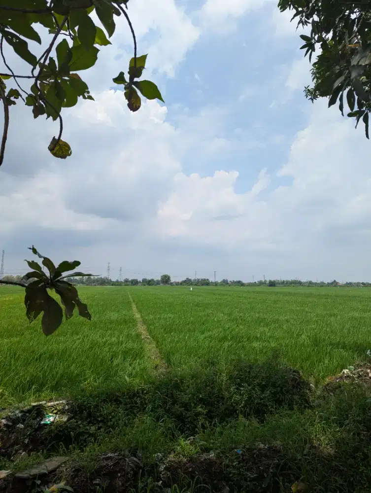 Tanah Sawah SHM Dekat Kawasan Industri Tidak dilewati Kabel Listrik