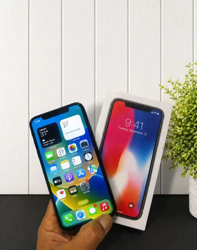 Iphone X 256 gb Terdaftar