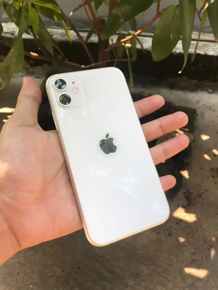 iPhone 11 64 GB