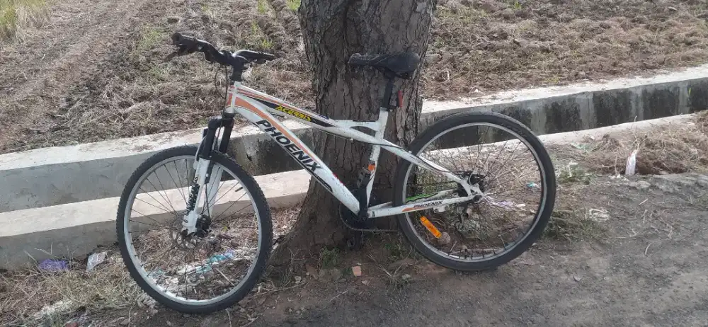 Sepeda Mtb phoenix minus rem
