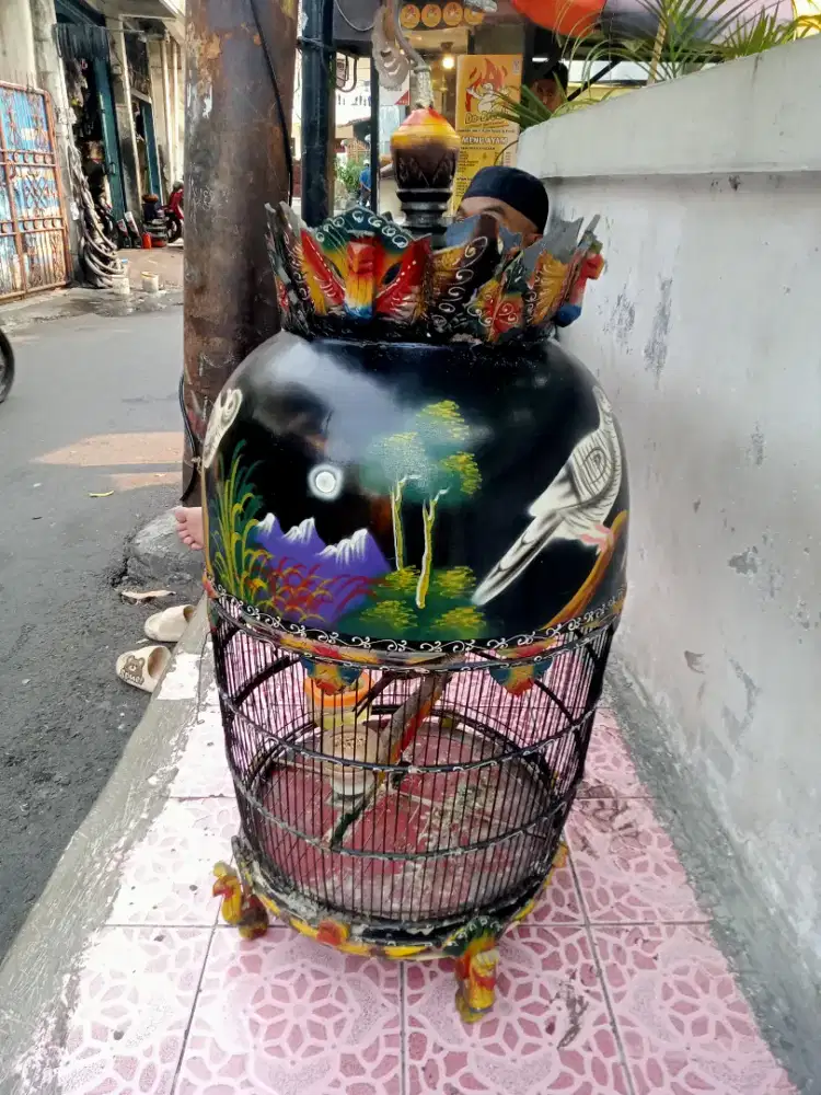 perkutut Bangkok  plus kandang MAhkota