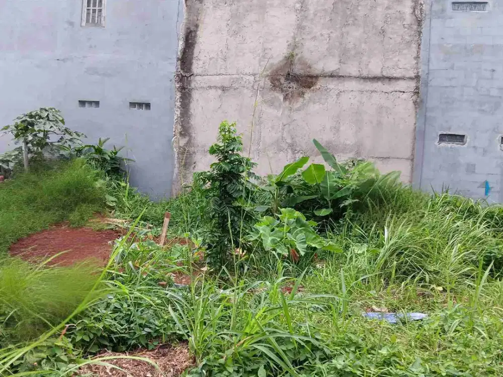 Di Jual 2 Unit Kavling Residence di Cluster Catalina Gading Serpong