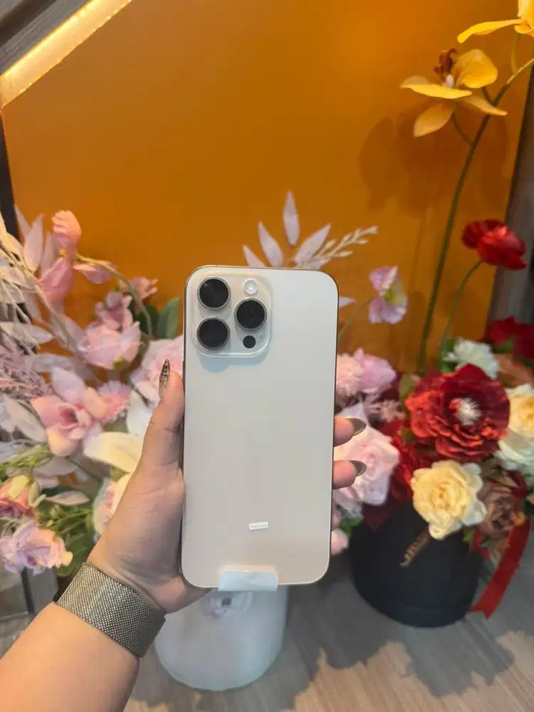 16pm 256 dessert bnob