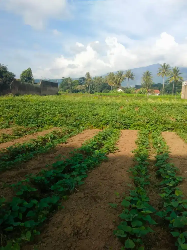Dijual tanah emas dijalan provinsi jalur utama kuningan cirebon