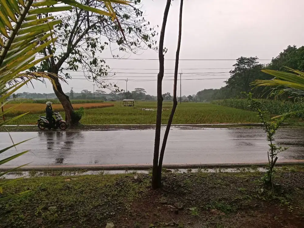 Jual Tanah Sertifikat Hak Milik