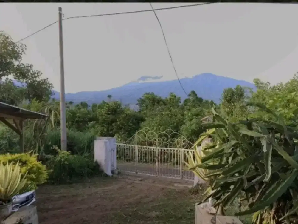 Tanah Agrowisata Batu