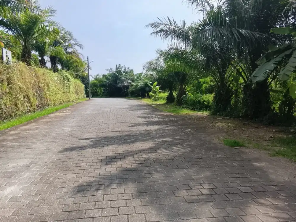 Di Jual Tanah Murah kawasan Villa Mewah Grenlot