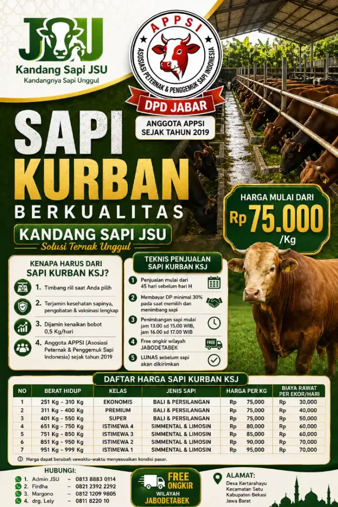 Jual Sapi Kurban KSJ (Kandang Sapi JSU) Mulai dari Rp 75.000/Kg
