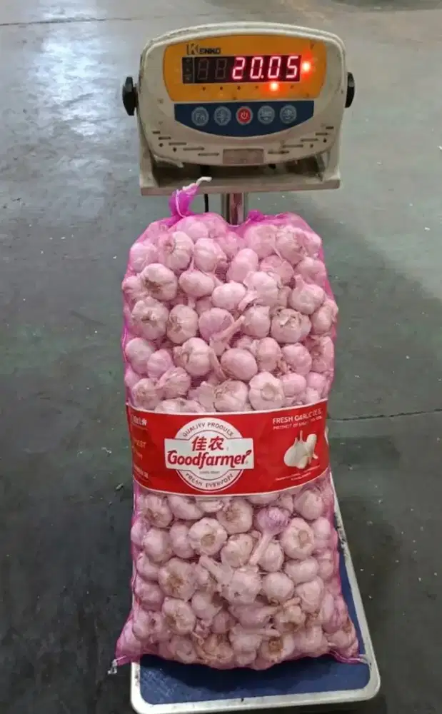 Bawang Putih Import 1 bal -+20kg (Kating & Honan)