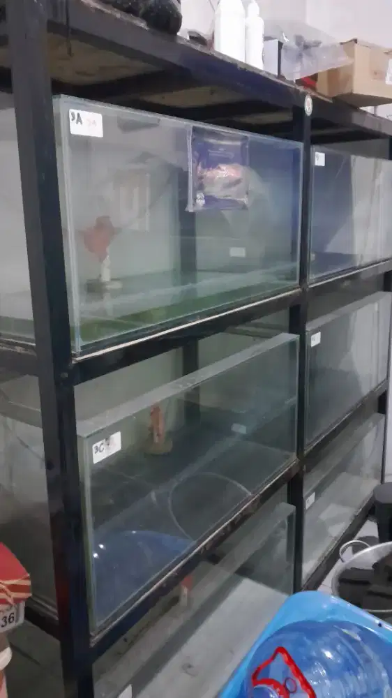 Aquarium susun 6 tank rak besi holo lengkap