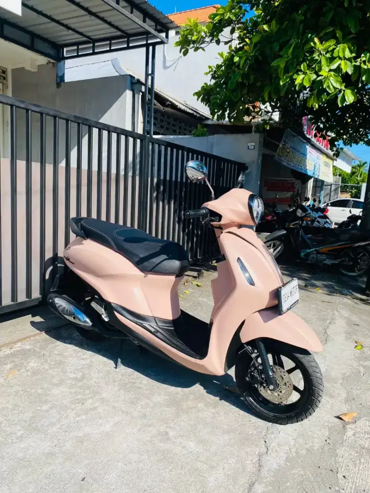 Filano pink 2025 Deva motor