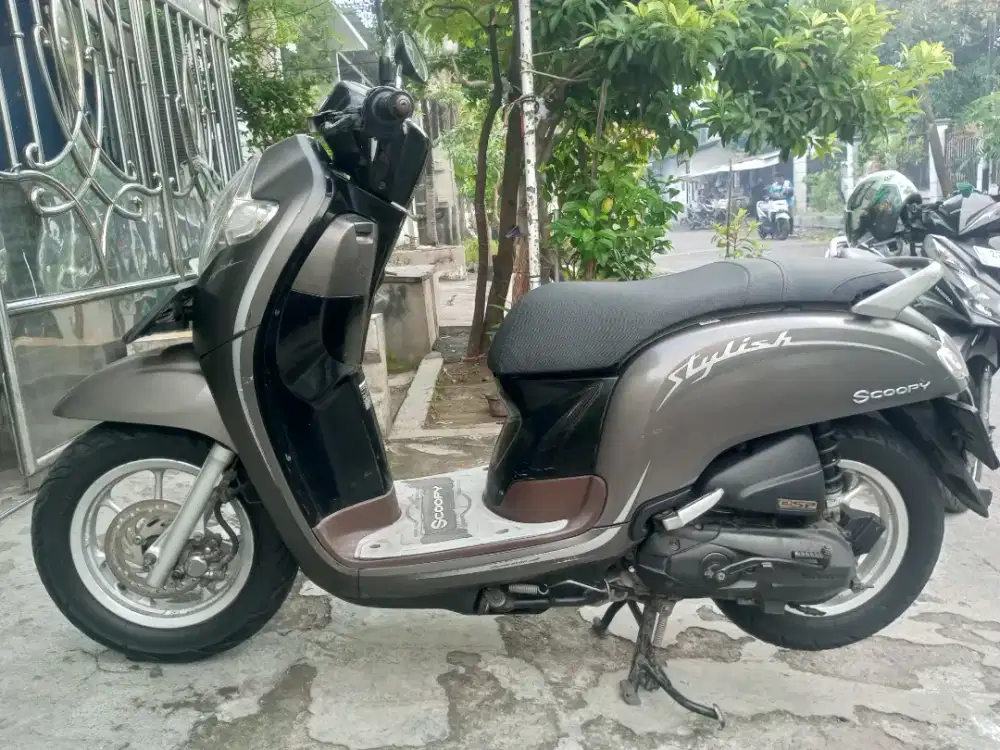 Scoopy Stylish 2019
