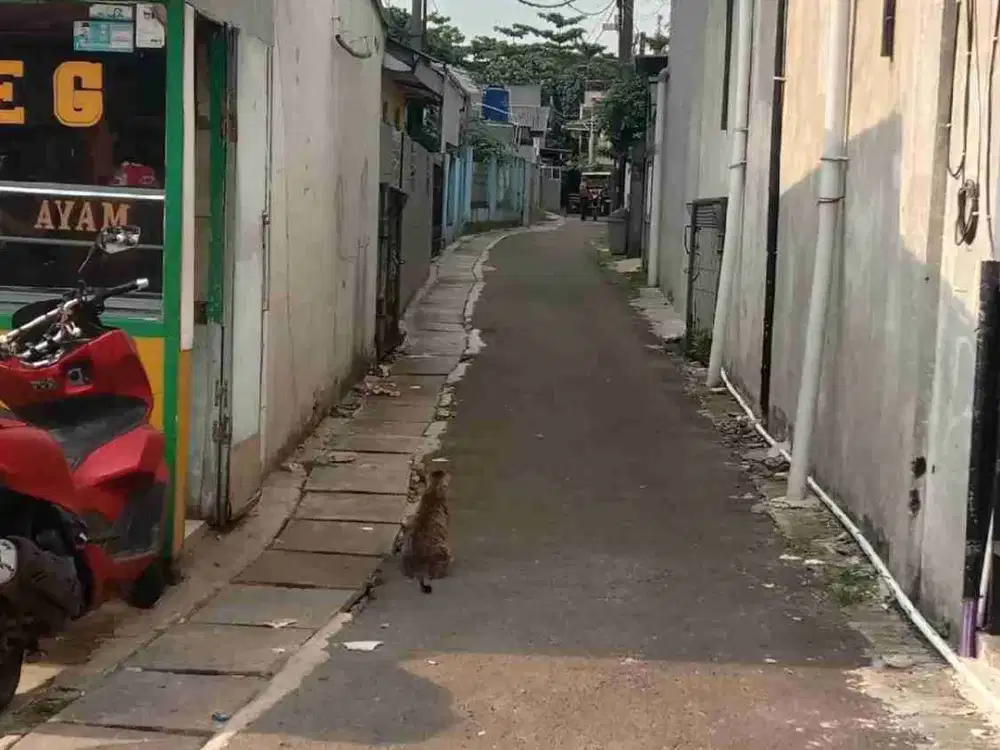 Dijual tanah bonus rumah di depok