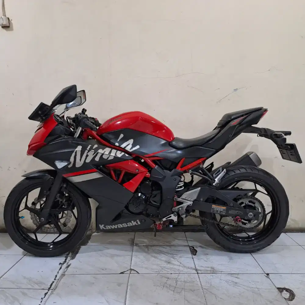 Kawasaki ninja 250 mono 2019 pajak panjang