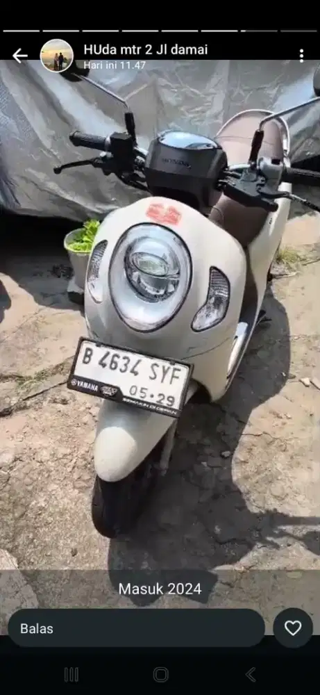 Honda Scoopy Kayles 2024