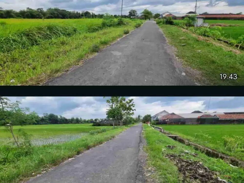 pekarangan Ambarketawang gamping