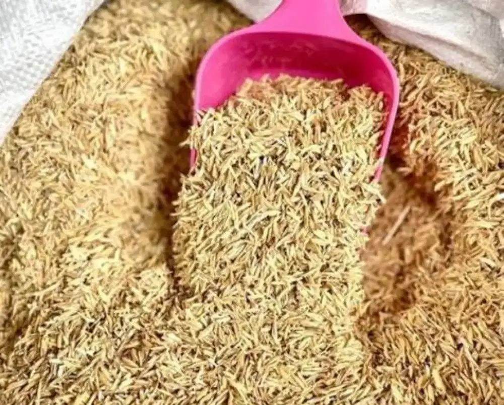 SEKAM PADI untuk kebutuhan produksi