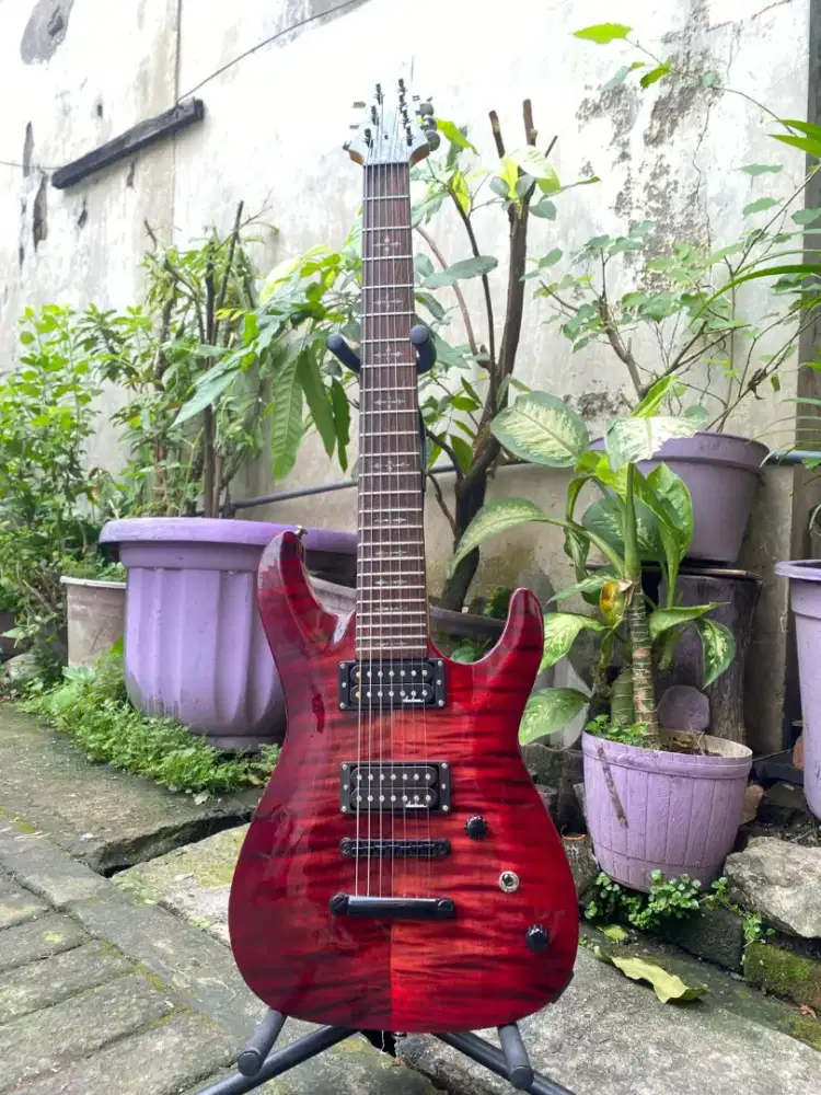 Gitar schecter 7string