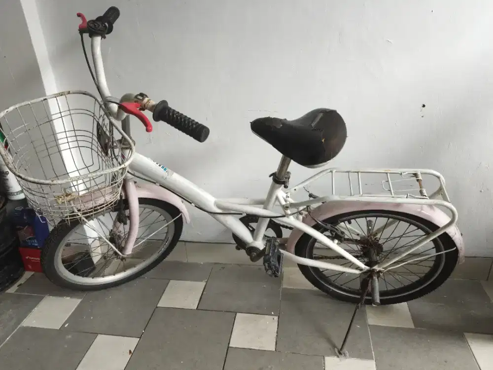 Sepeda anak Wymcycle 20