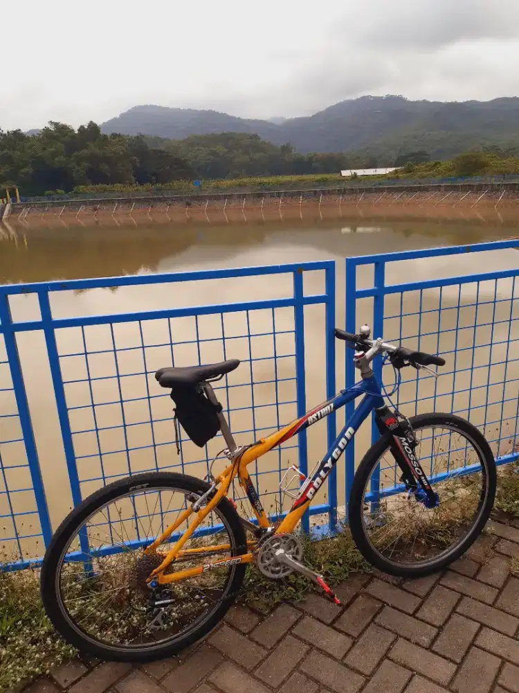 polygon astroz 26 full upgrade