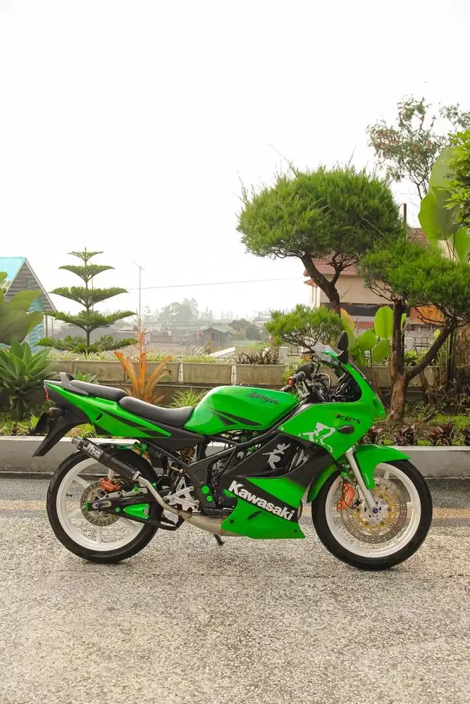 Ninja rr SE gen 4 2011 ganteng