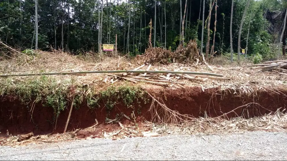 JUAL TANAH KEBUN AKSES PERUM SELAAWI PERMAI