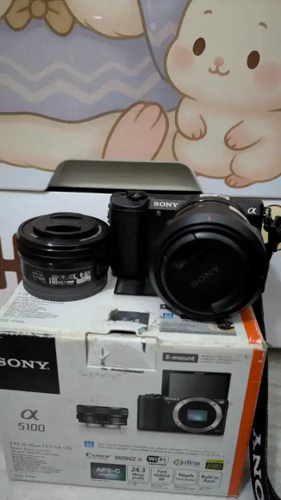 Kamera Mirrorless Sony a5100 + lensa E 3.5mm  F1.8