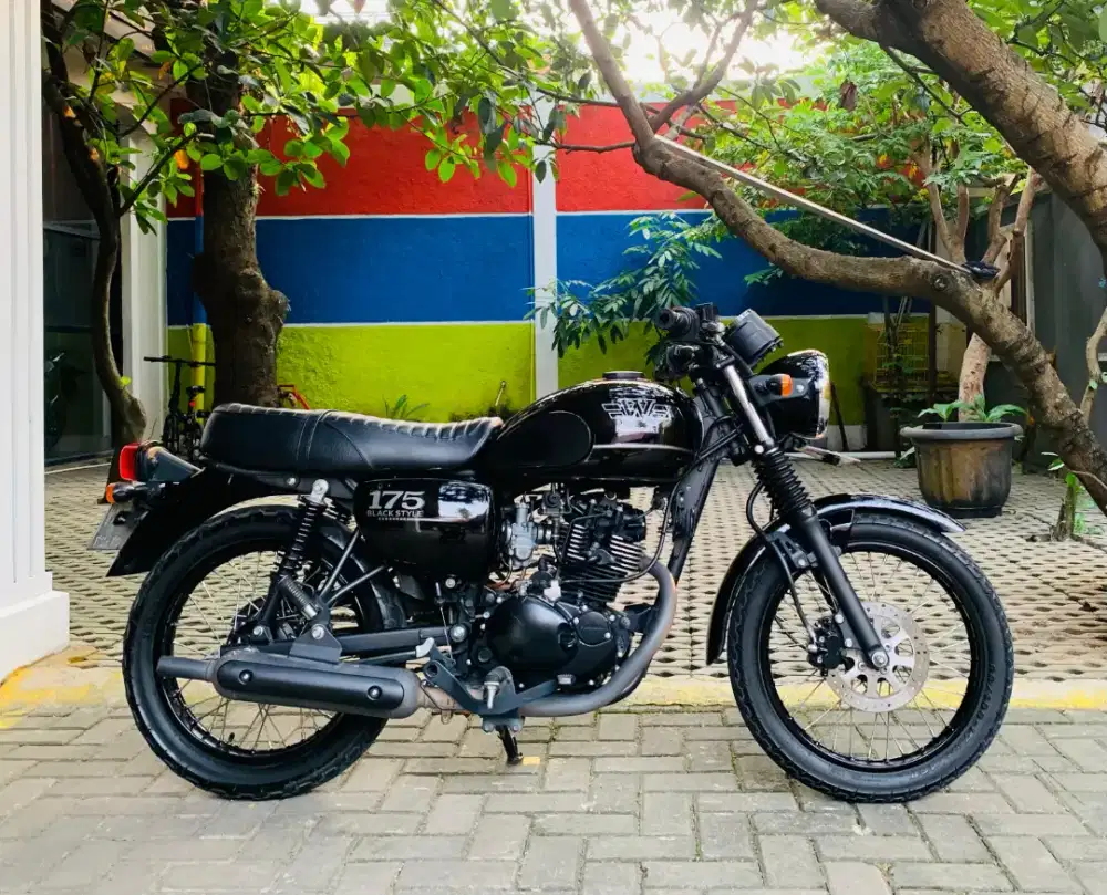 Kawasaki w175 se