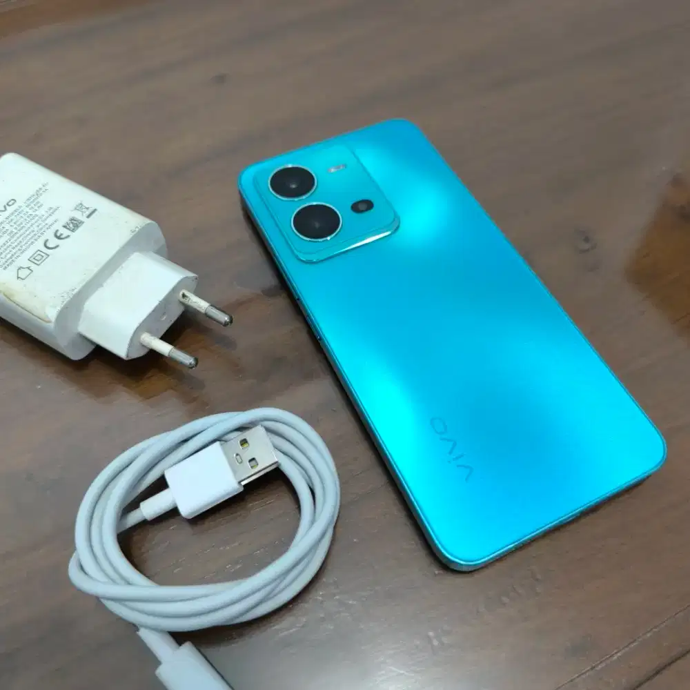Vivo V25 5G 8/256gb