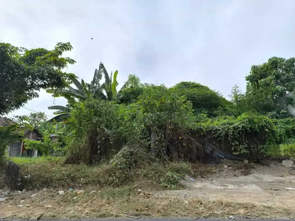 Tanah Kavling Murah Nol Jalan Raya Bangkingan dekat Grand Harvest