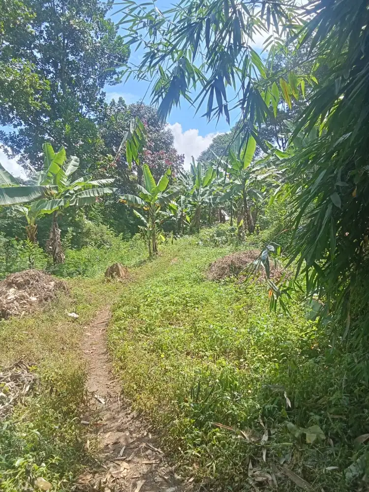 Jual Tanah Jl Cibengang Dago Pakar Ciburial dengan View yang Baik
