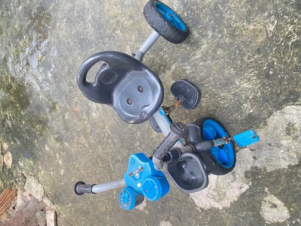 Sepeda anak (family)