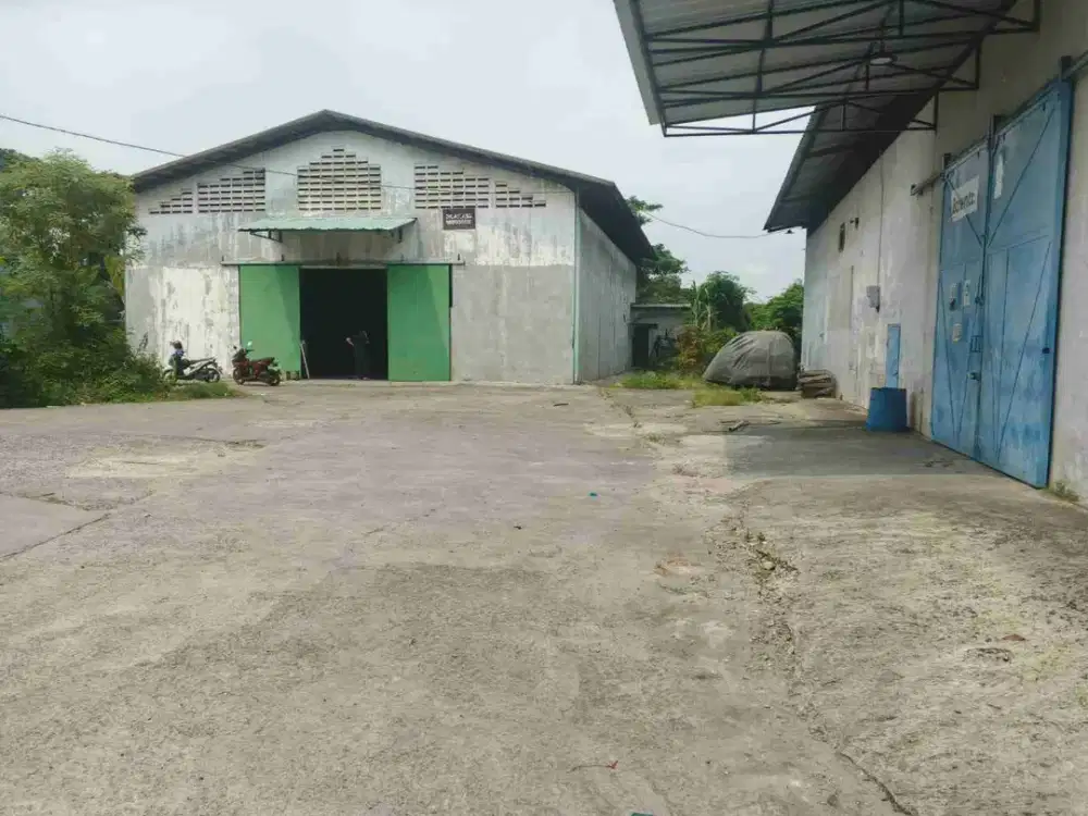Beberapa Pilihan Luas Gudang Unit Terbatas