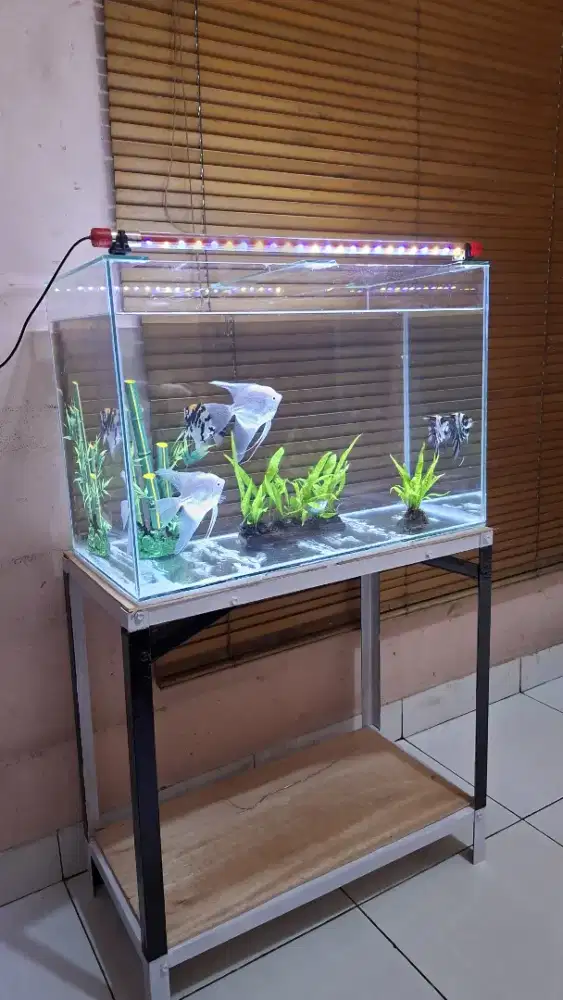 Aquarium fulset isi ya