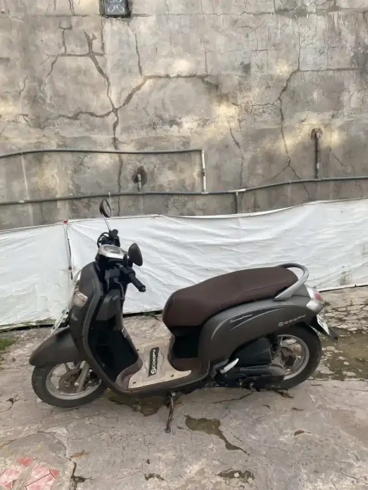 Scoopy stylish fi 2018