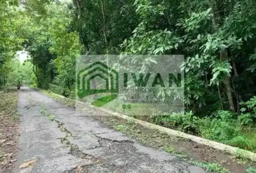 Tanah Pekarangan Strategis Hadap Jalan 6,5m