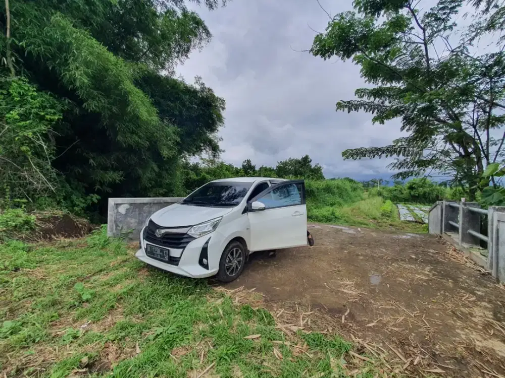 Tanah Strategis SHM Dekat UMM, Lingkungan Hijau Dekat Thursina