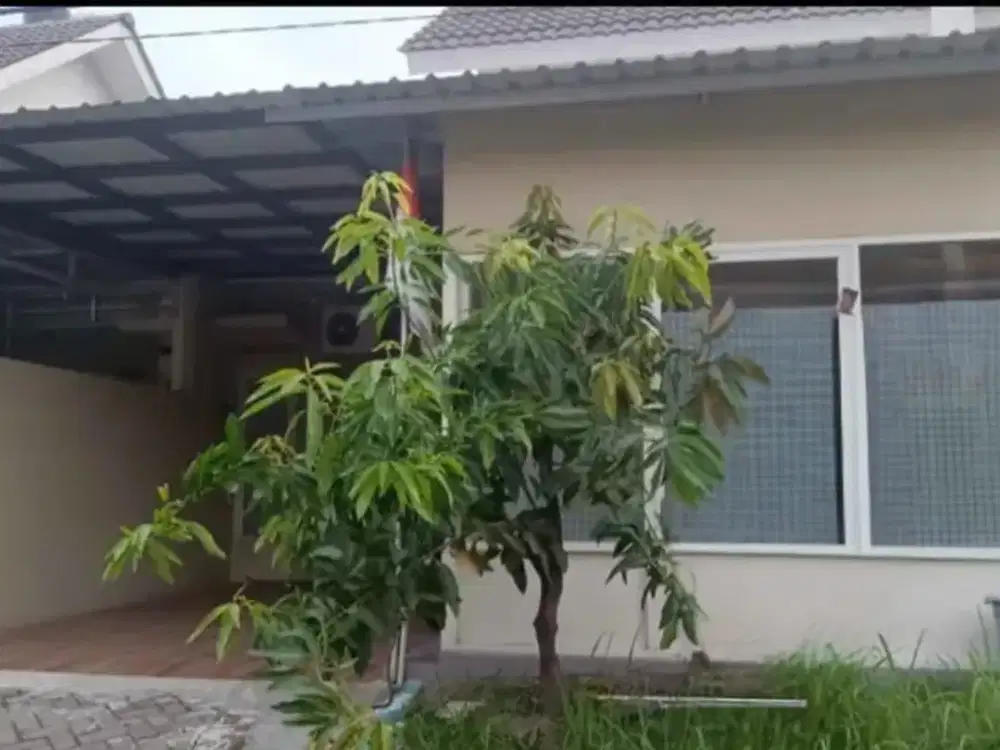 Dijual Rumah Murah Di Cluster Valencia Lokasi Perum. Puri Surya Jaya Gedangan Sidoarjo