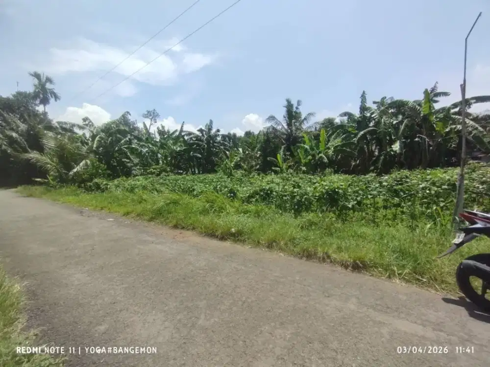 TANAH PEKARANGAN NGANTONG COCOK UNTUK PENSIUN, 6 MENIT KAMPUS UMP