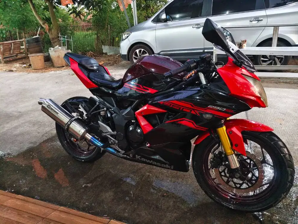 Motor Kawasaki Ninja 250 SL