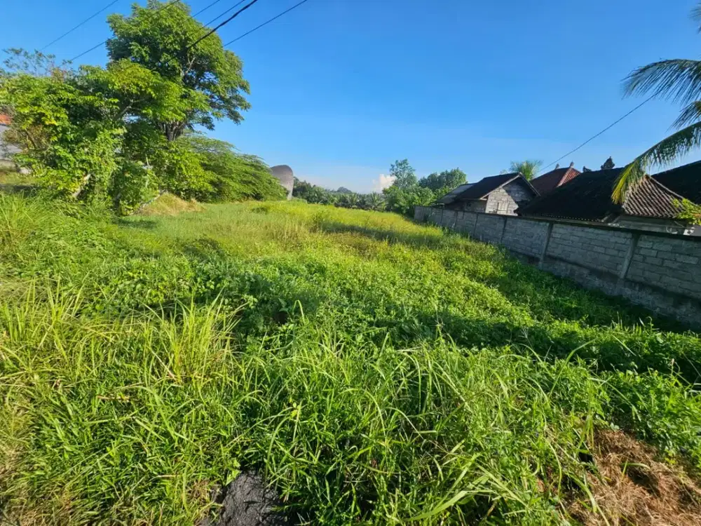 Dijual Tanah Lokasi Buwit Kaba Kaba Tabanan