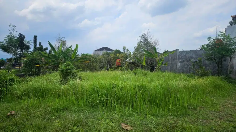 Sewa tanah 500+- m2 dekat Unsoed Purwokerto Bunyamin