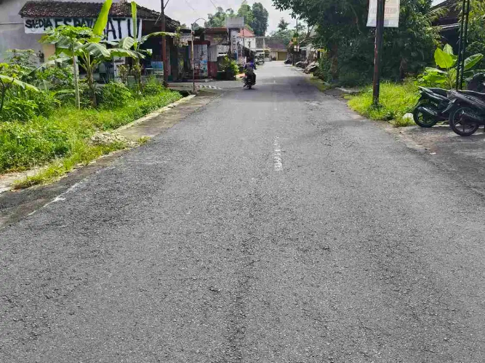 sawah caturharjo slmn