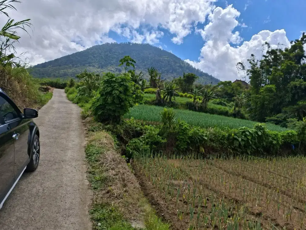 Dijual Tanah Lingkungan Nyaman dan Sejuk Di Bedugul