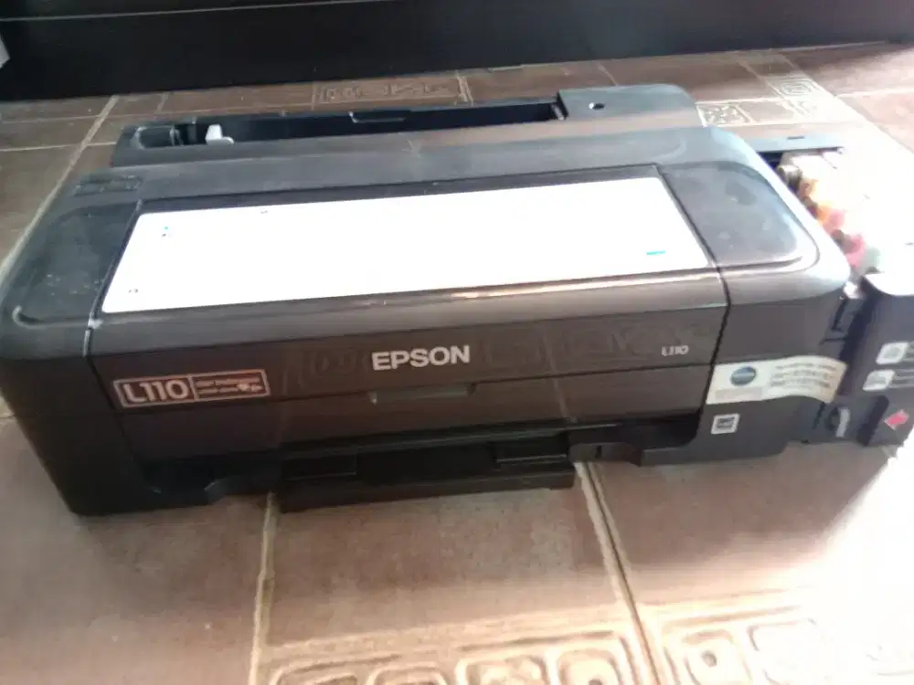 Printer Epson L110 minus