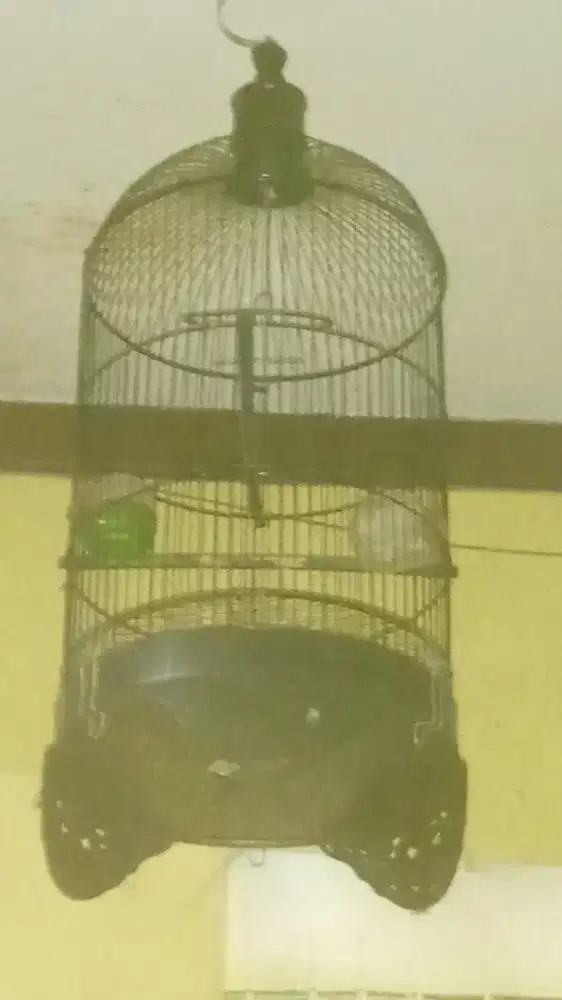 Kandang kapsul Lovebird